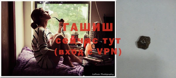 сатива Бронницы