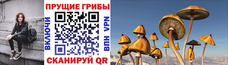 цены наркотик  мега ТОР  Галлюциногенные грибы мицелий  Волгореченск 